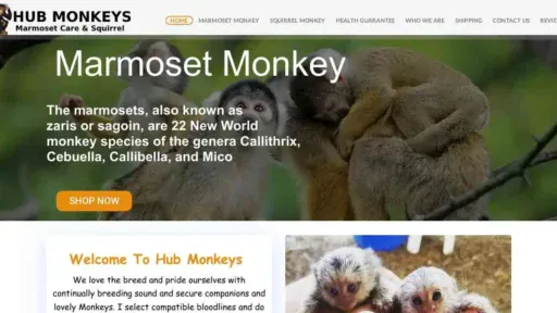 A screenshot of Genlanfamilystbernard.com
