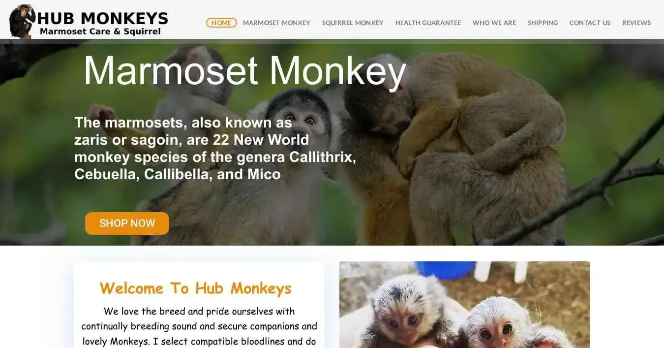 is hubmonkeys.com legit? screenshot