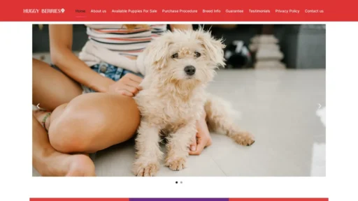 A screenshot of Huggyberries.com