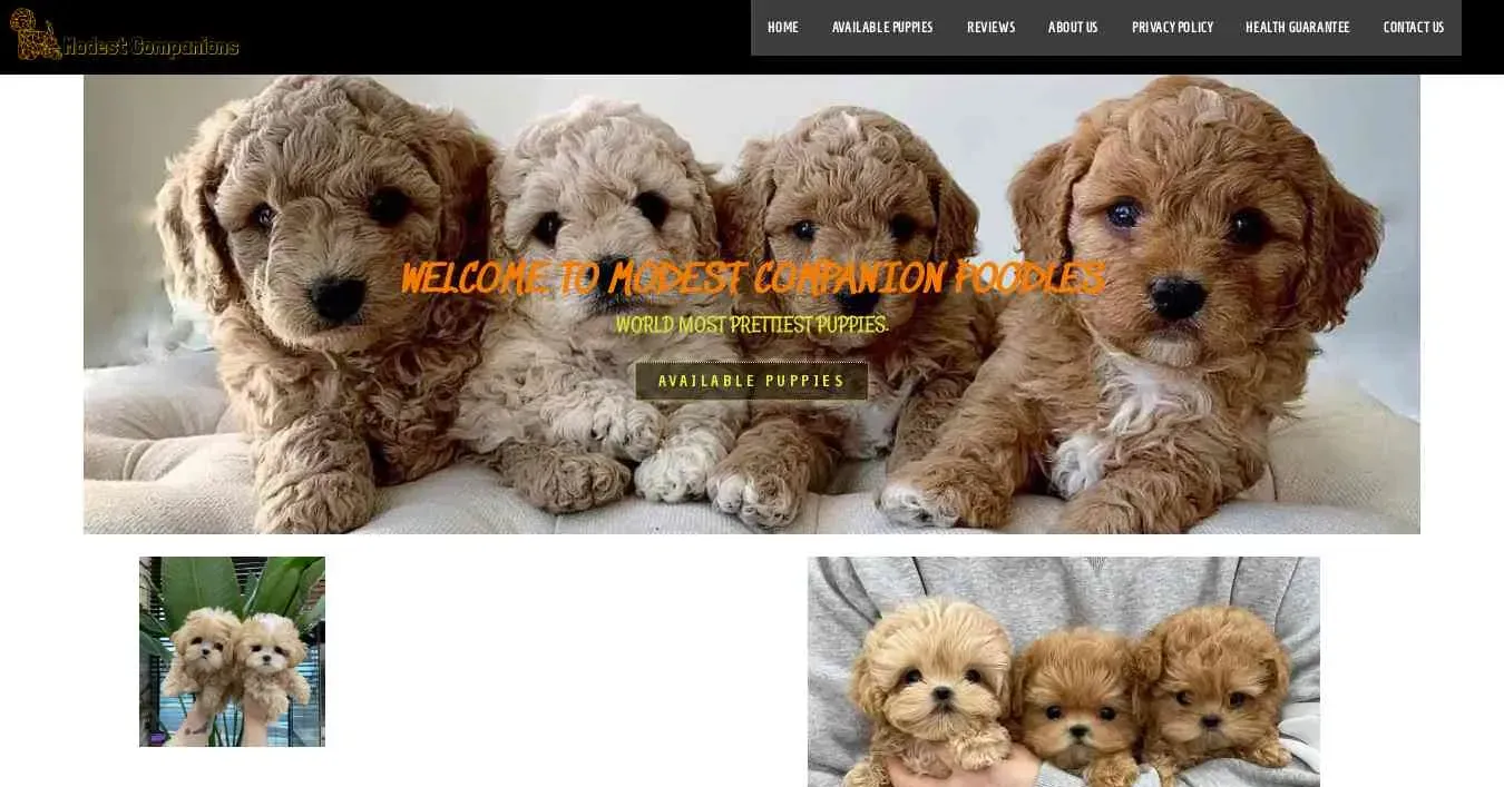 is hughmodestcompanionsfarm.com legit? screenshot