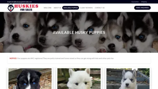 A screenshot of Huskypuppiesforsales.com