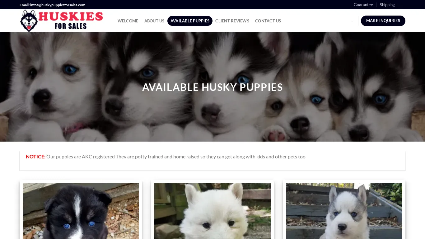 is huskypuppiesforsales.com legit? screenshot