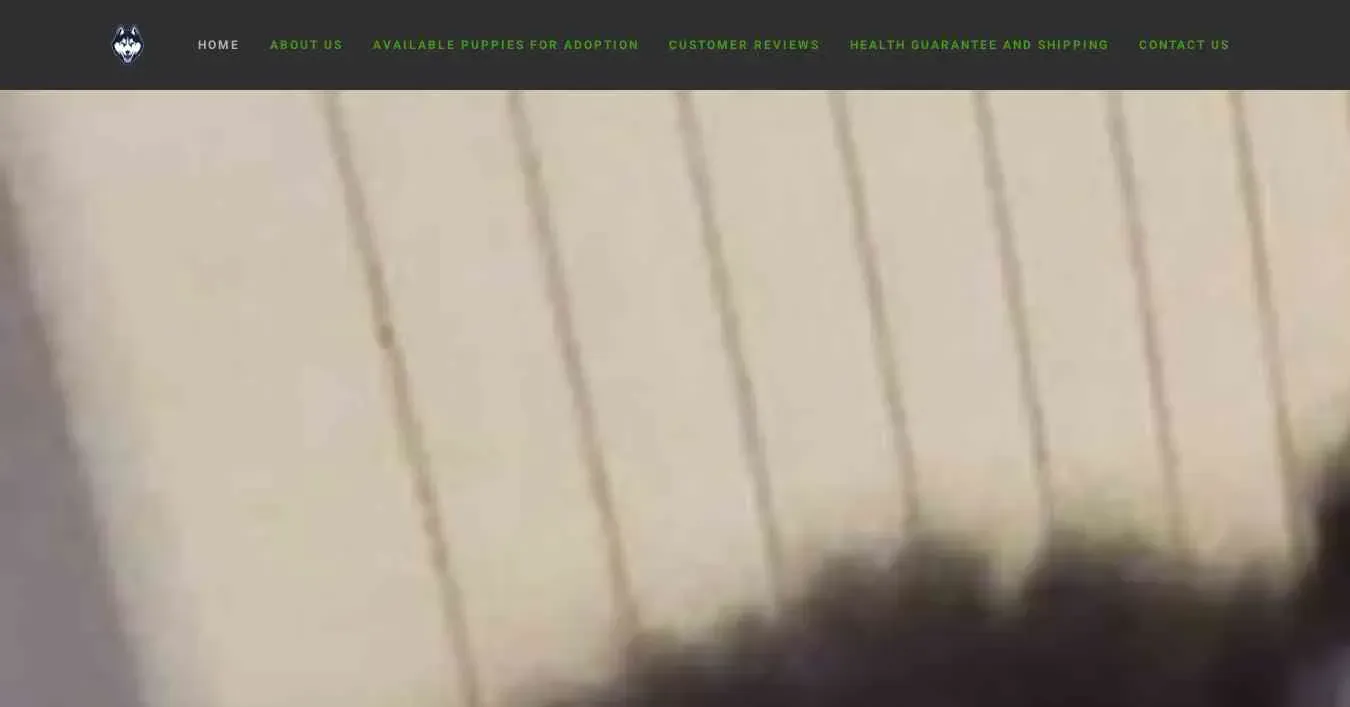 is huskypuppyhoodusa.com legit? screenshot