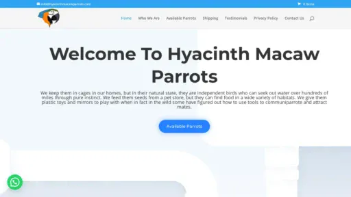 A screenshot of Hyacinthmacawparrots.com