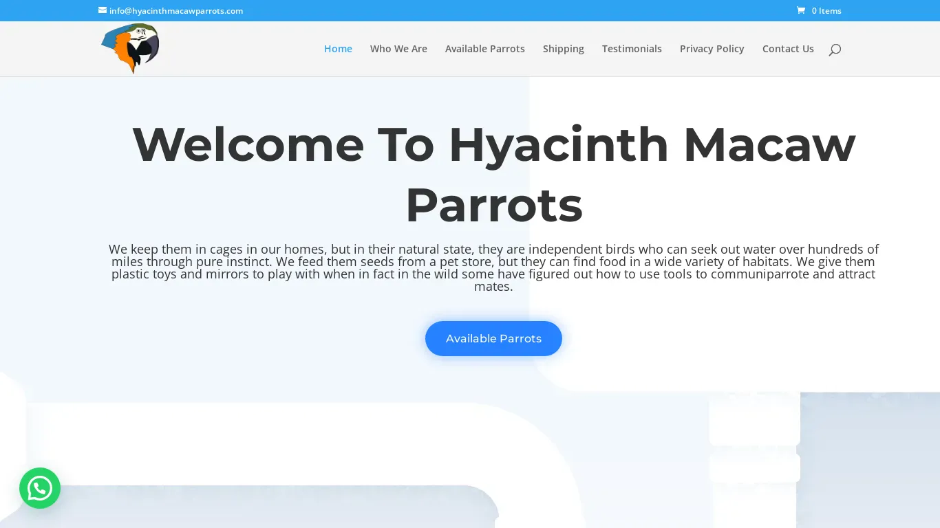 is Hyacinth Macaw Parrots | Adopt Cute Parrots legit? screenshot