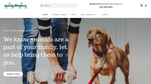 A screenshot of Idealdoodles.com