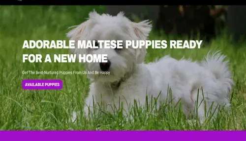 A screenshot of Genlanfamilystbernard.com