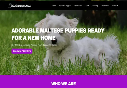 is idealhomemaltese.com legit? screenshot