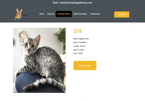 is immaculategyptianmau.com legit? screenshot