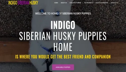 A screenshot of Genlanfamilystbernard.com