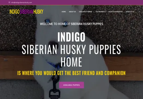 is indigosiberianhusky.com legit? screenshot