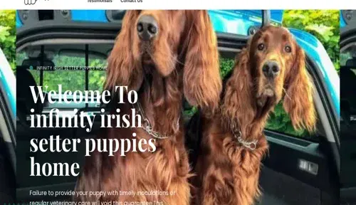 A screenshot of Genlanfamilystbernard.com