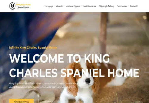 is infinitykingcharlesspanielhome.com legit? screenshot