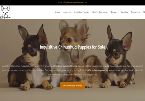 is inquisitivechihuahua.com legit? screenshot