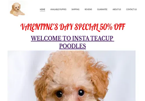 is instateacuppoodles.com legit? screenshot