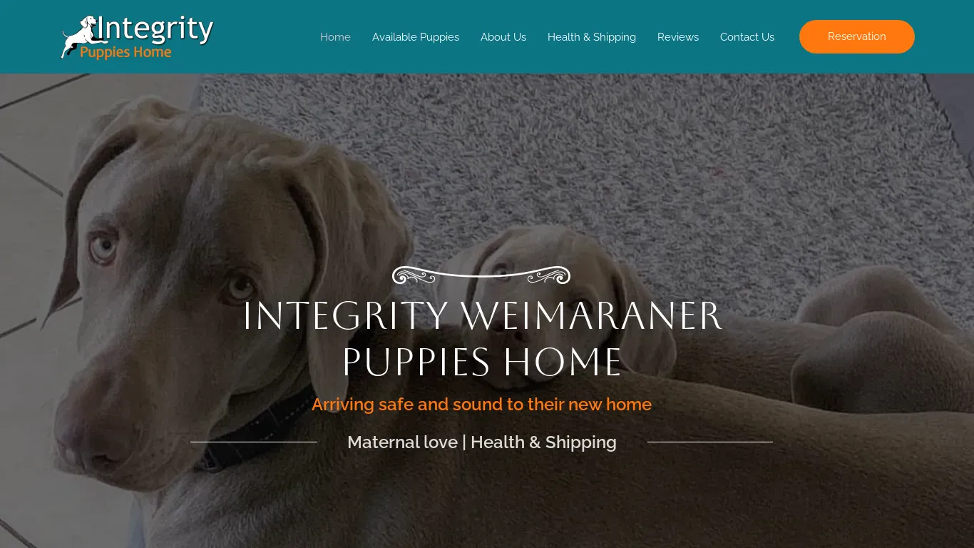 is integrityweimerpuppies.com legit? screenshot