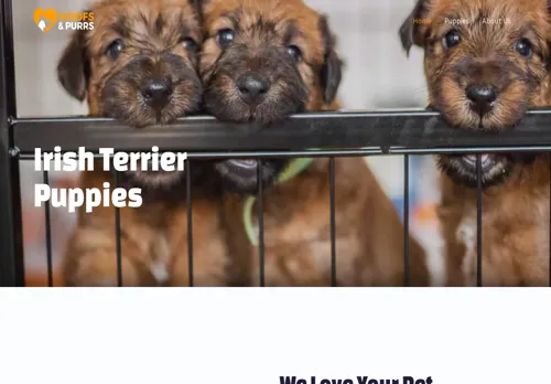 is irishterrierpups.com legit? screenshot
