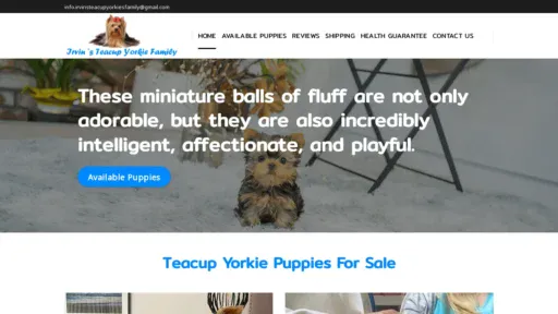 A screenshot of Irvinsteacupyorkiesfamily.com