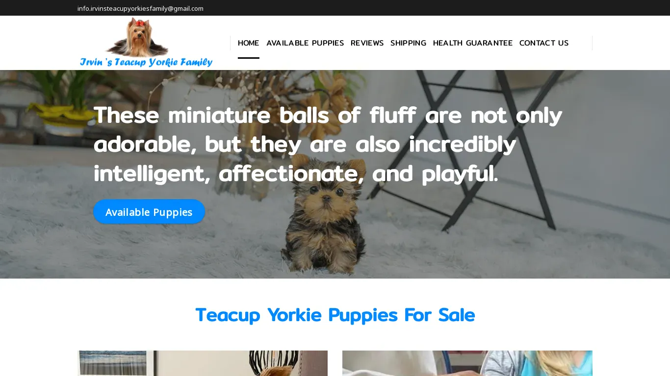 is irvinsteacupyorkiesfamily.com legit? screenshot