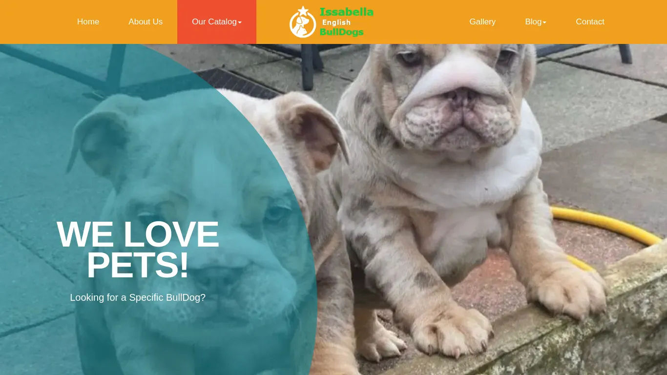 is isabellaenglishbulldoghome.com legit? screenshot