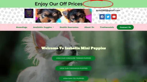A screenshot of Isabellaminipuppies.com