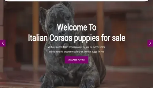 A screenshot of Genlanfamilystbernard.com