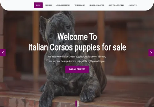 is italian-corso.com legit? screenshot