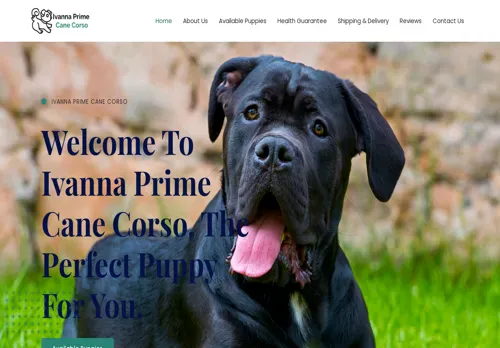 is ivannaprimecanecorso.com legit? screenshot