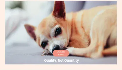 A screenshot of Genlanfamilystbernard.com