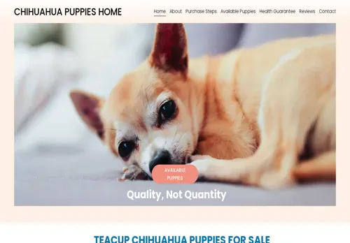 is jackiechihuahuas.com legit? screenshot