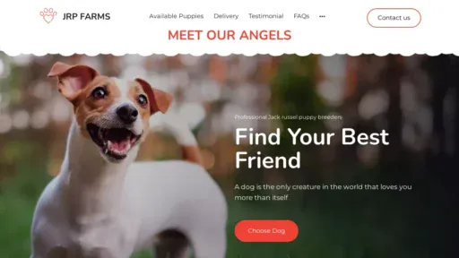 A screenshot of Jackrussellpuppiesfarm.com