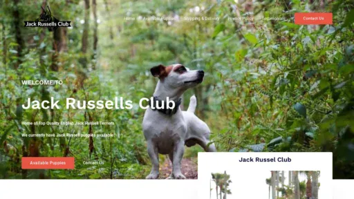 A screenshot of Jackrussellsclub.com