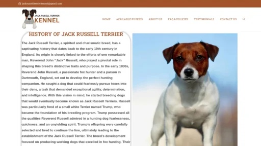 A screenshot of Jackrussellterrierkennel.com