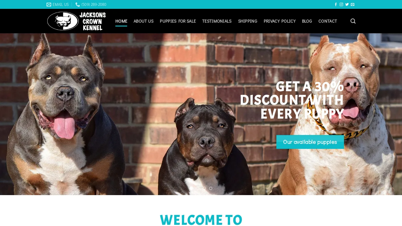 is jackscrownkennel.com legit? screenshot