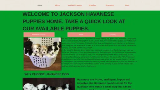 A screenshot of Jacksonhavanesepupshome.com