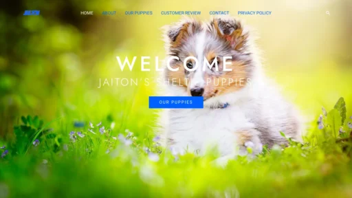 A screenshot of Jaitonswsheltie.net