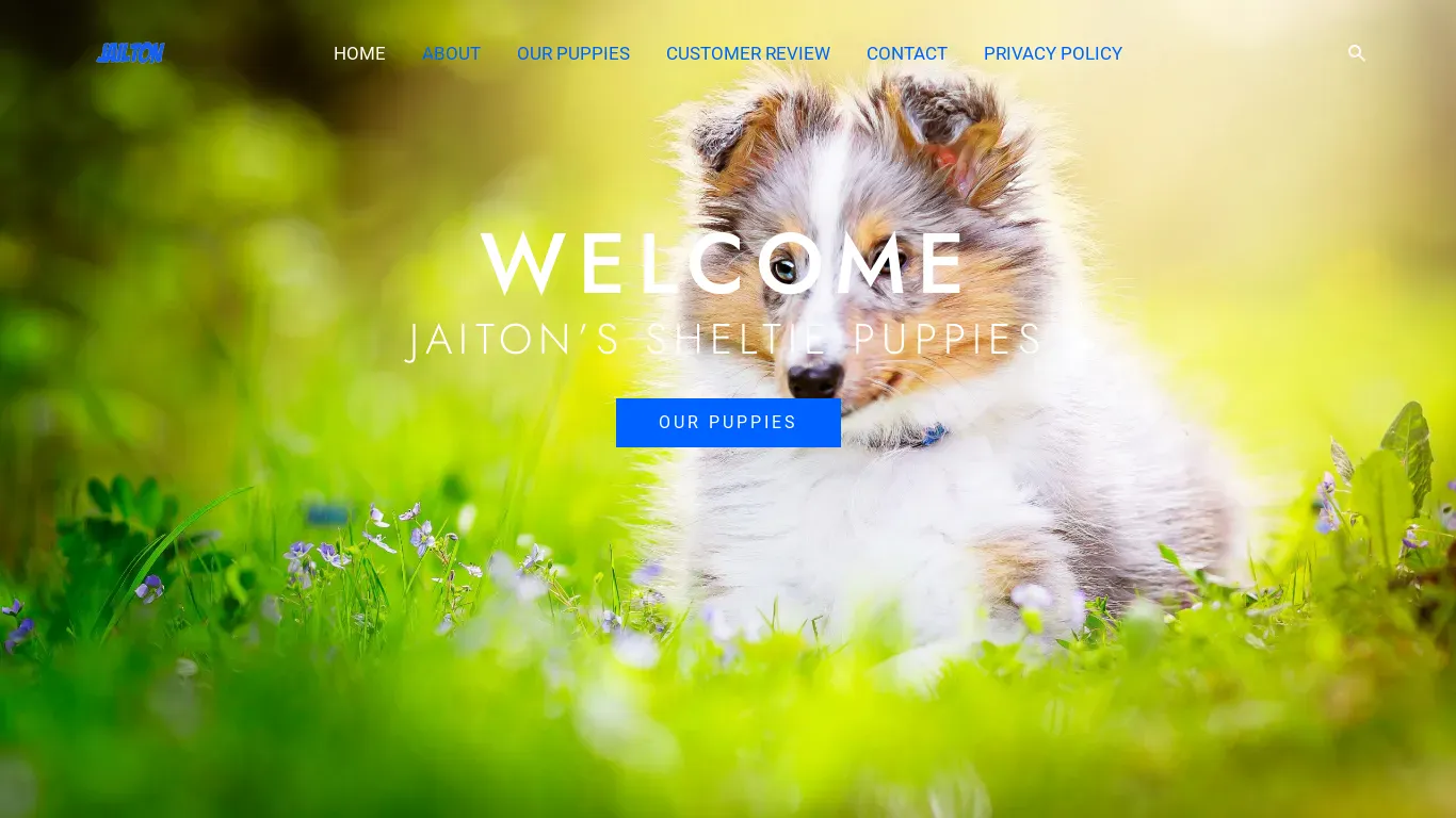 is jaitonswsheltie.net legit? screenshot