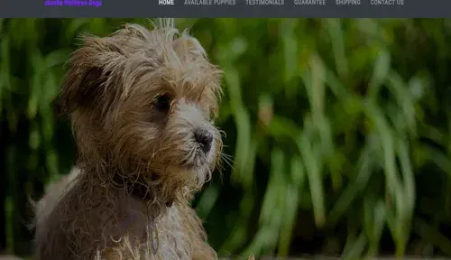 A screenshot of Genlanfamilystbernard.com