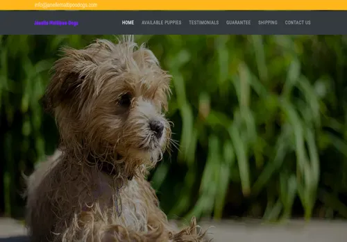 is janellemaltipoodogs.com legit? screenshot