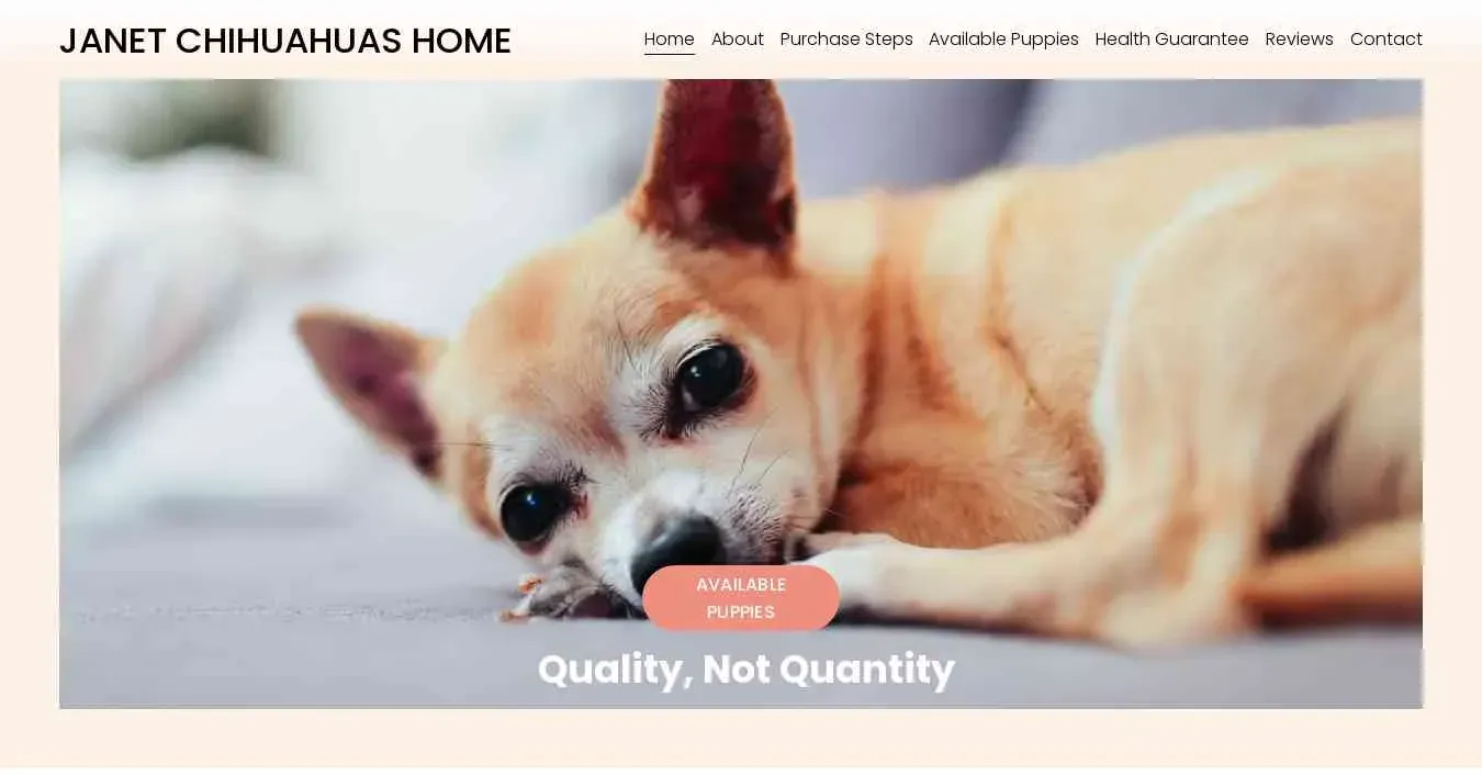 is janetchihuahuas.com legit? screenshot