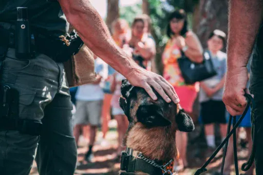 jason-jarrach-EOkSS_yFkwE-unsplash-scaled|report a puppy scam to the police|