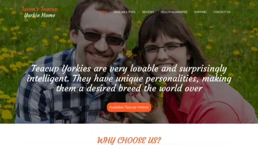 A screenshot of Jasonsteacupyorkiehome.com