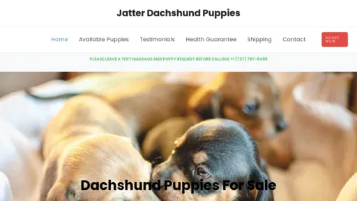 A screenshot of Jatterdachshundpuppies.com