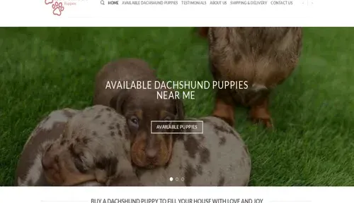 A screenshot of Genlanfamilystbernard.com
