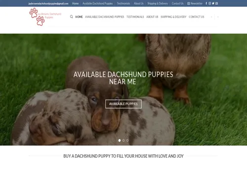 is jaybrownsdaschundpuppies.com legit? screenshot