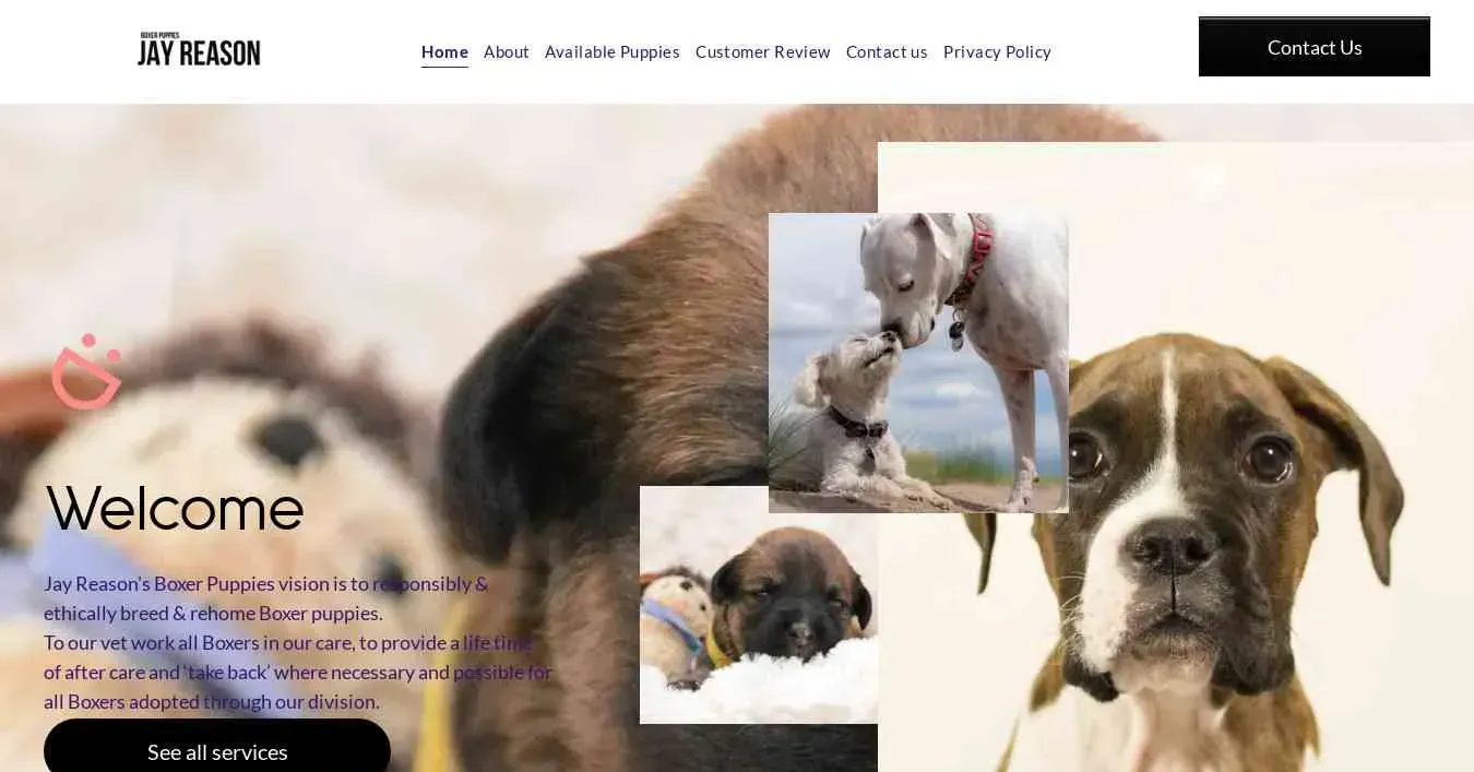 A screenshot of Genlanfamilystbernard.com