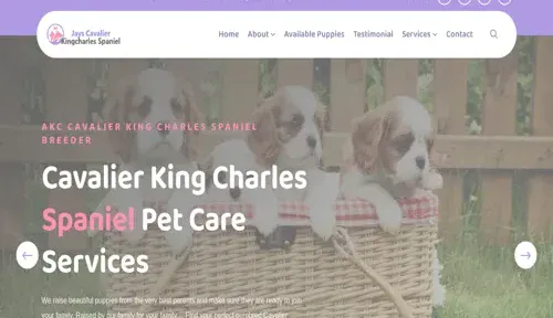A screenshot of Genlanfamilystbernard.com