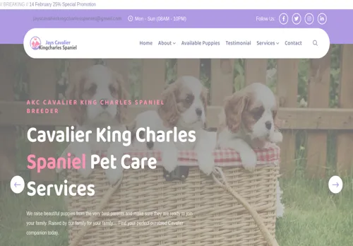 is jayscavalierkingcharlesspaniel.com legit? screenshot