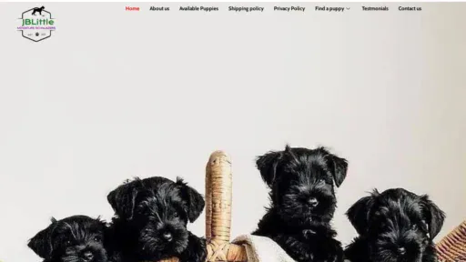 A screenshot of Jblittleschnuazers.com