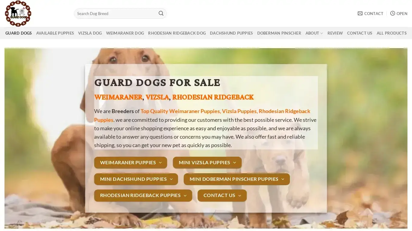 is Weimaraner vs Vizsla Puppies | Rhodesian Ridgeback Guard Dogs legit? screenshot
